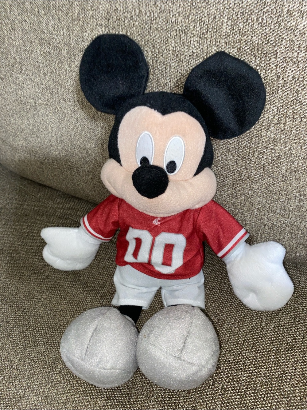 Disney 18” Washington State Mickey Mouse